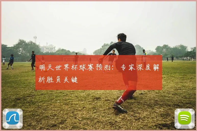 明天世界杯球赛预测：专家深度解析胜负关键