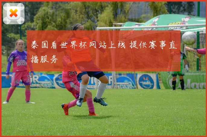 泰国看世界杯网站上线 提供赛事直播服务