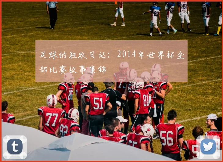 足球的狂欢日记：2014年世界杯全部比赛故事集锦