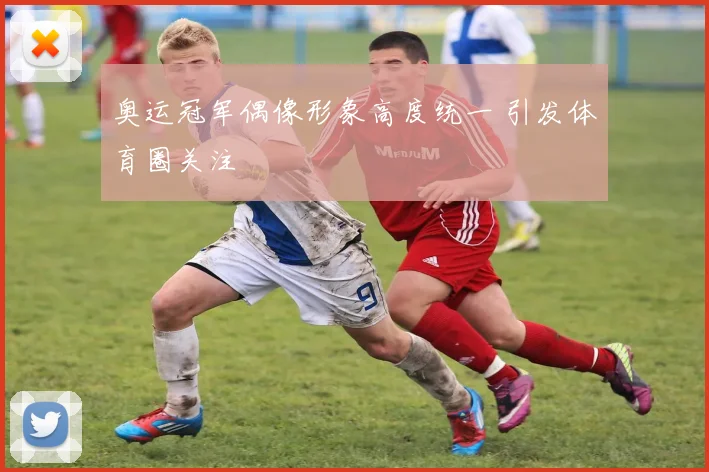 奥运冠军偶像形象高度统一 引发体育圈关注