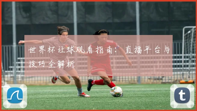 世界杯让球观看指南:直播平台与技巧全解析