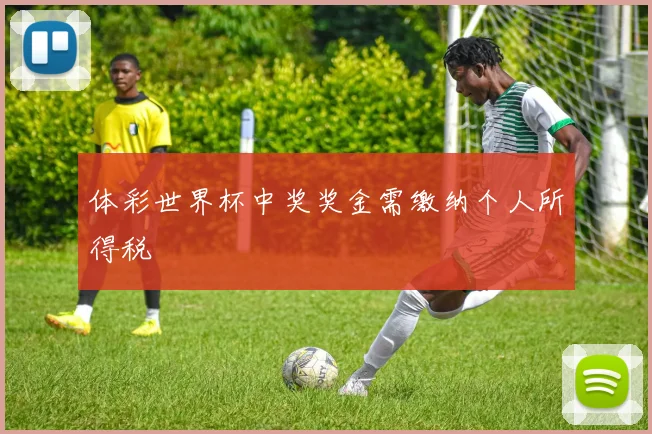 体彩世界杯中奖奖金需缴纳个人所得税