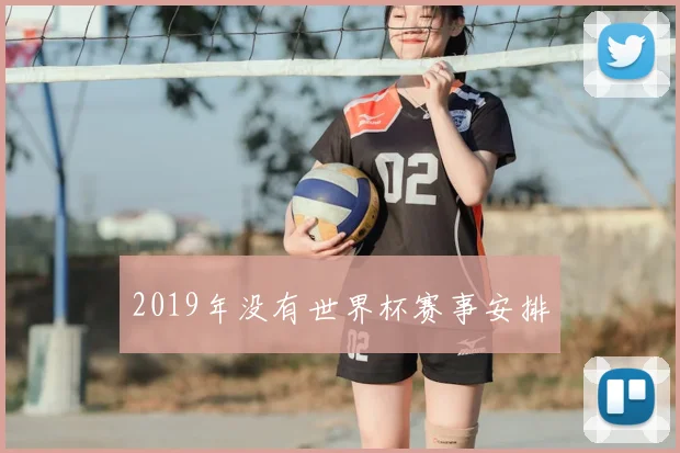 2019年没有世界杯赛事安排