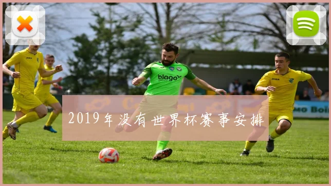 2019年没有世界杯赛事安排