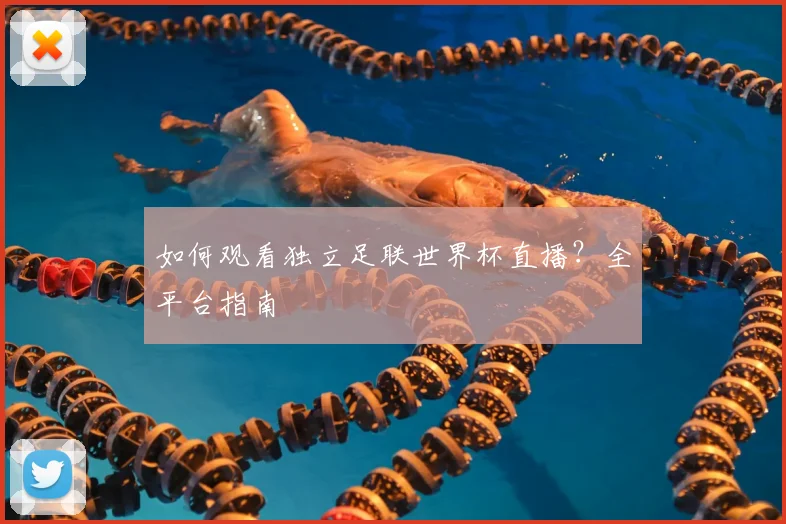 如何观看独立足联世界杯直播？全平台指南