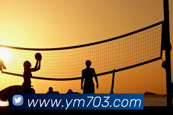 多媒体互动体验